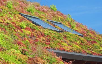 Upper Stowe living roof systems
