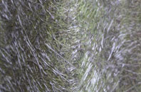 Upper Stowe fibreglass roof work